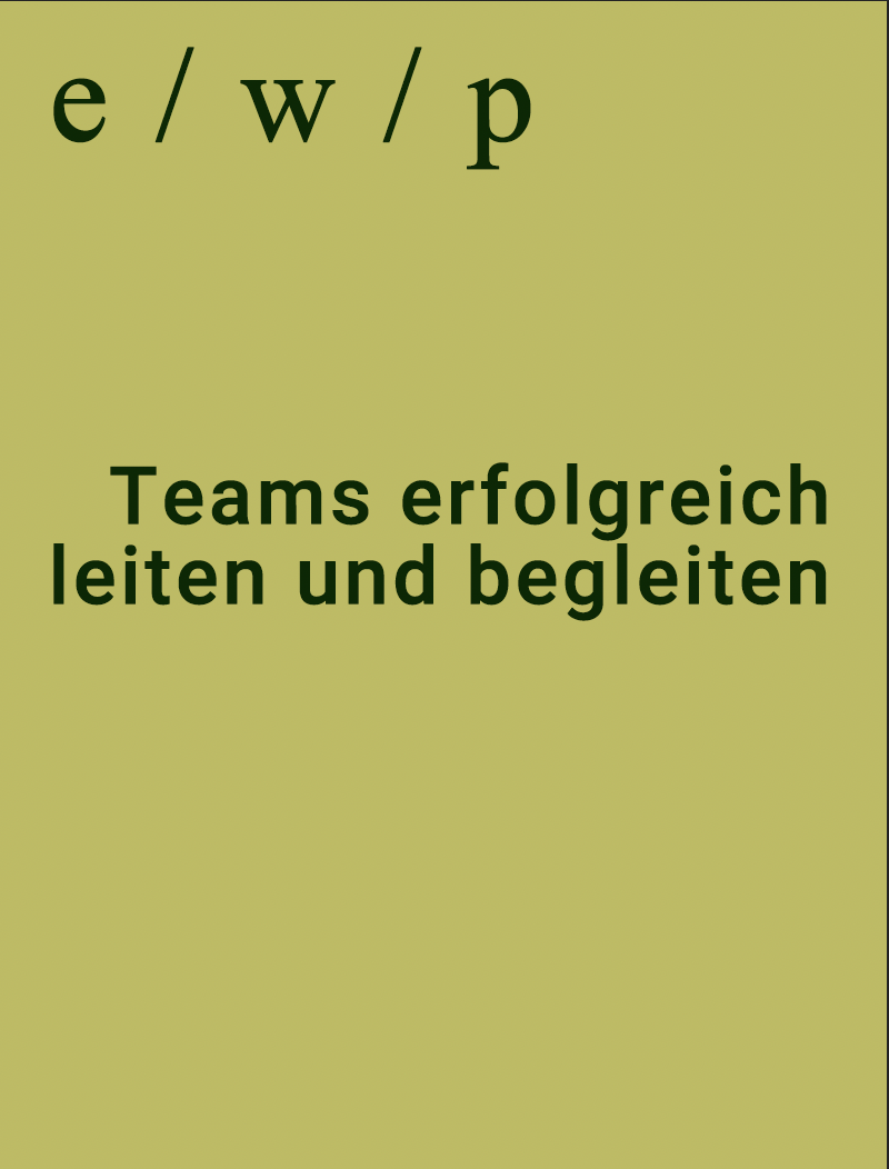Team erfolgreich führen
