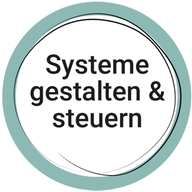 Modul Systeme gestalten und steuern - Wie man in und mit Organisa